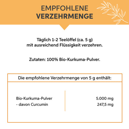 Bio Kurkuma Pulver