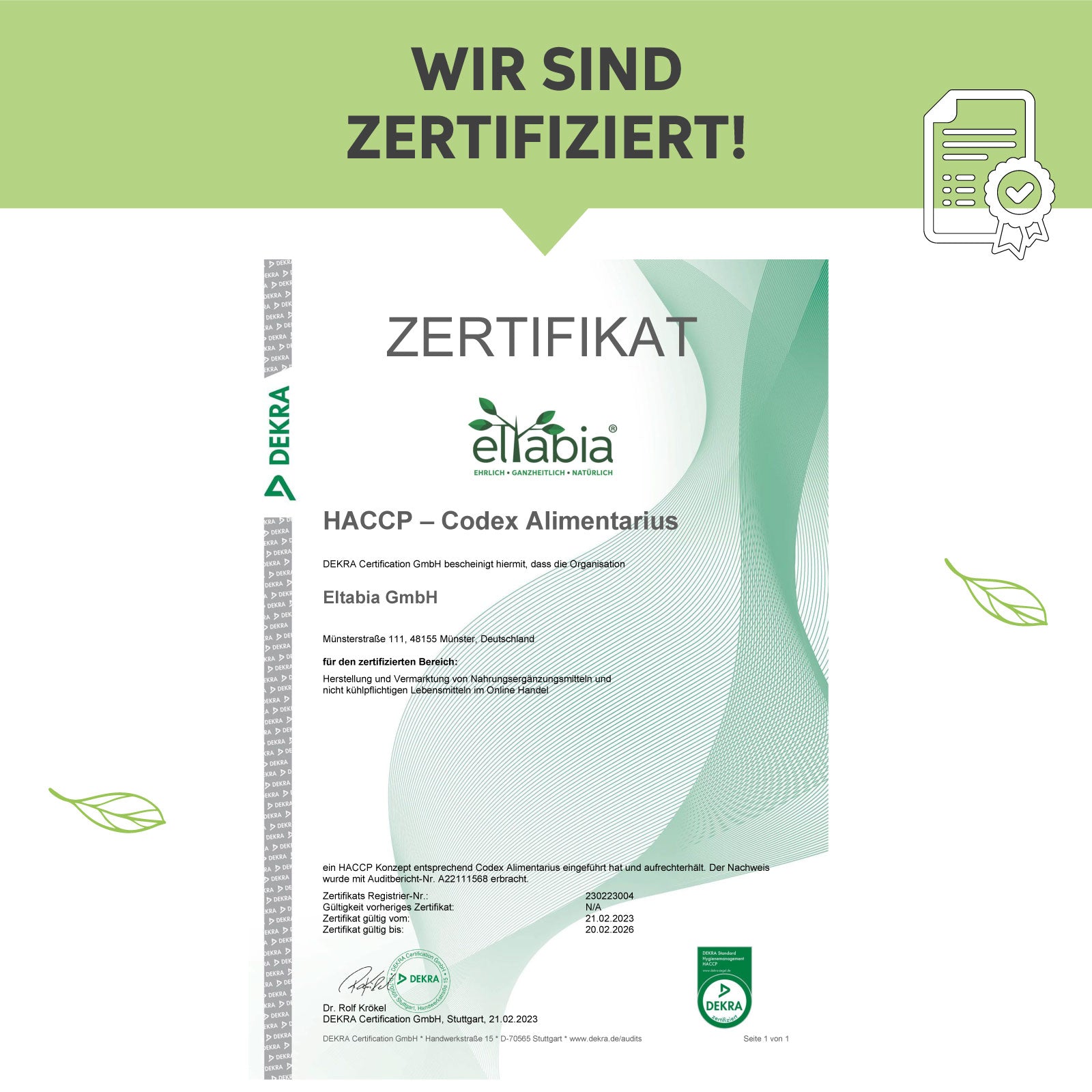 Bio Matcha Kapseln