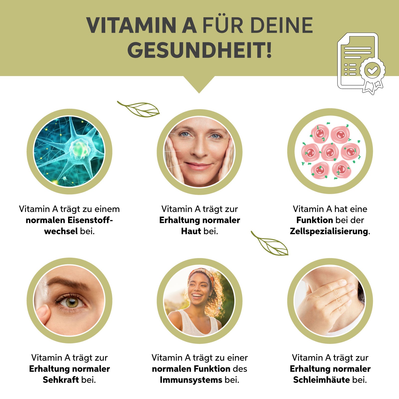 Bio Moringa Kapseln