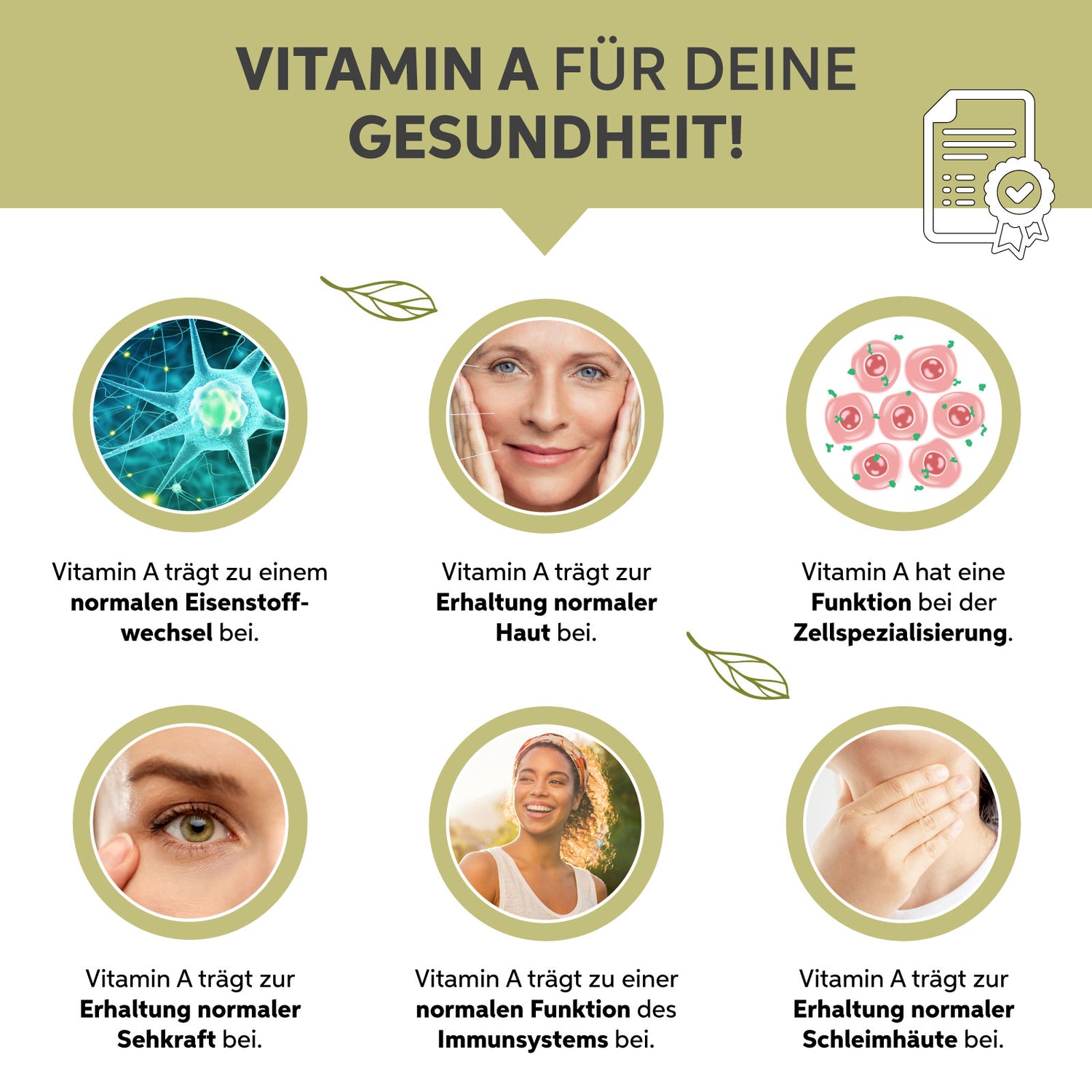 Bio Moringa Pulver