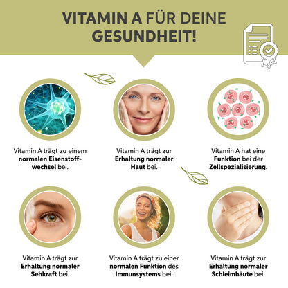 Bio Moringa Pulver