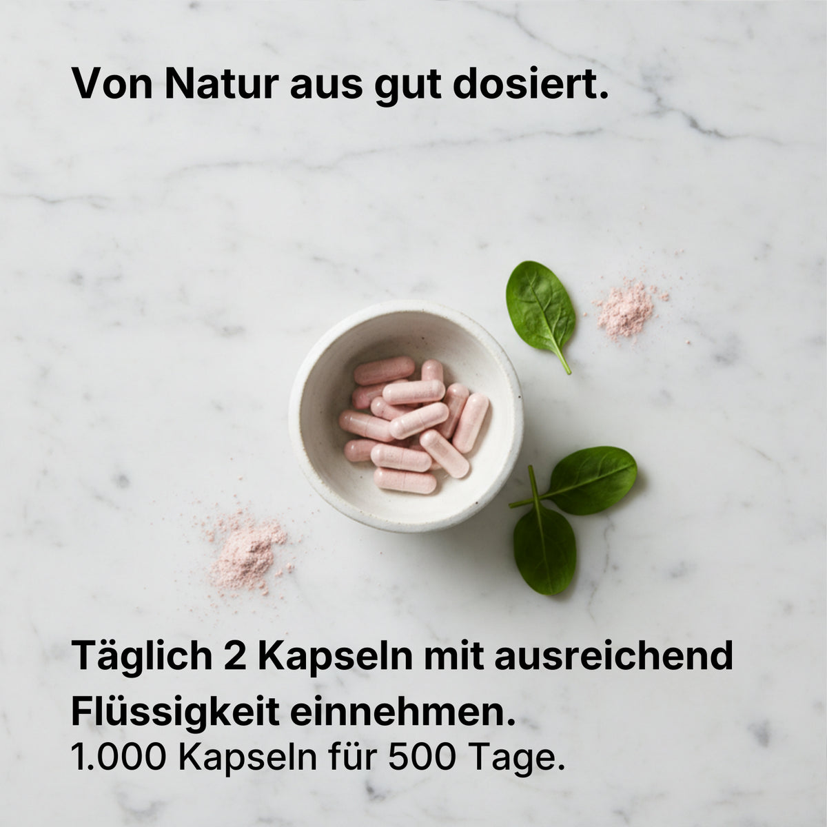 Bio Camu Camu Kapseln