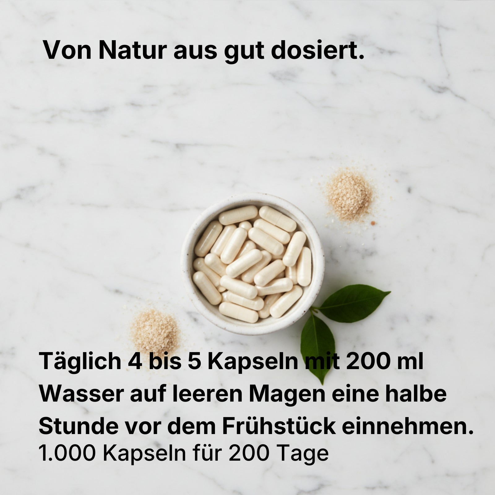 Bio Flohsamenschalen Kapseln – 99% Reinheit