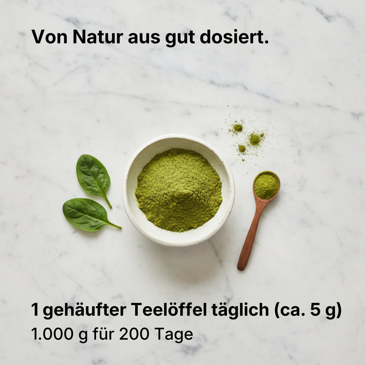Bio Moringa Pulver