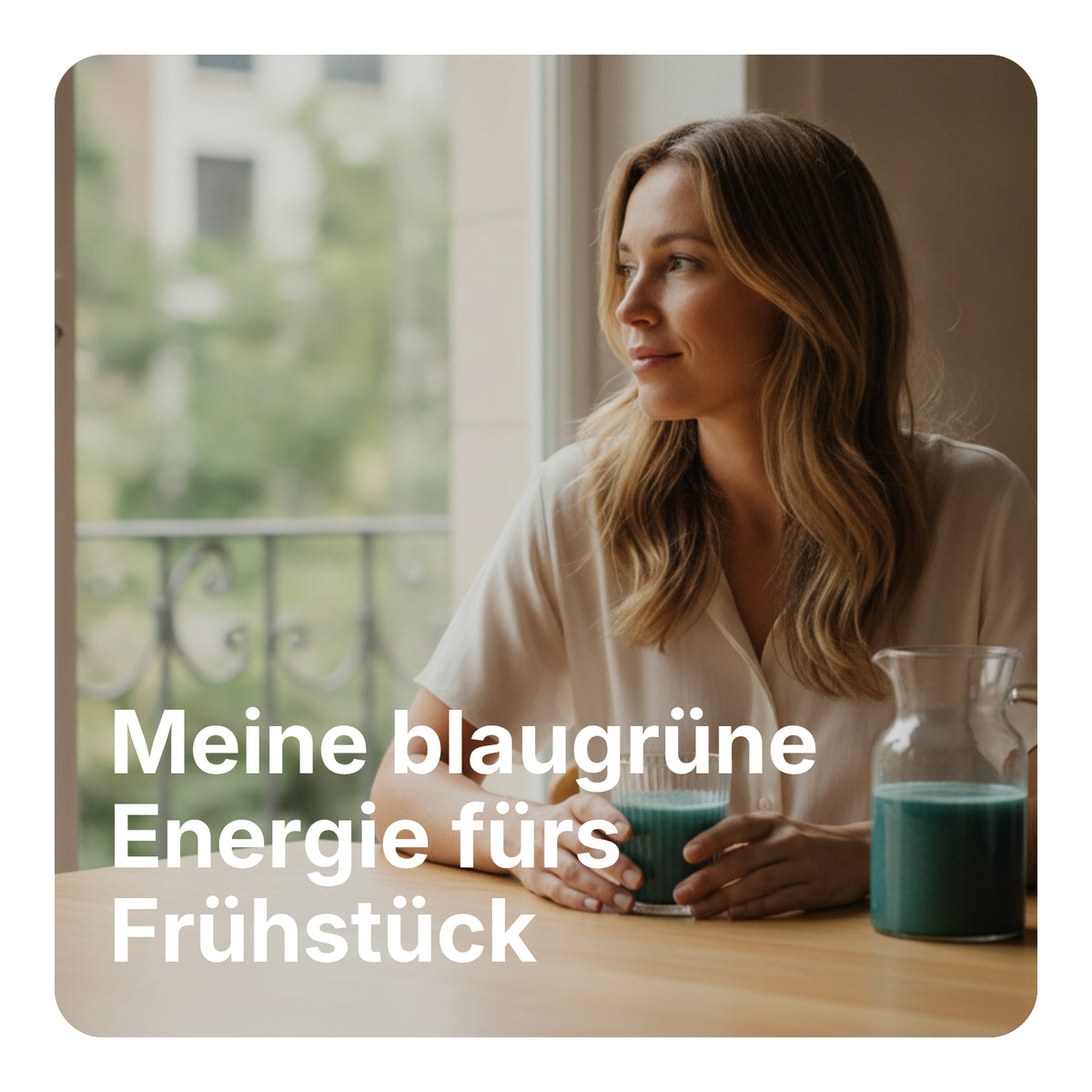 Bio Spirulina Pulver