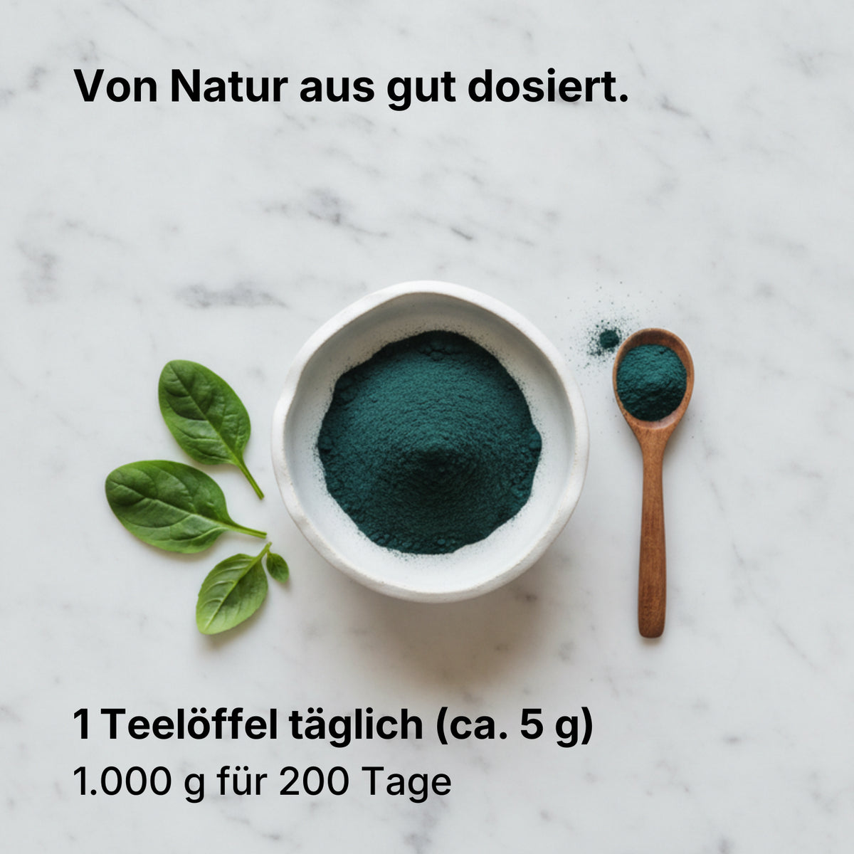 Bio Spirulina Pulver