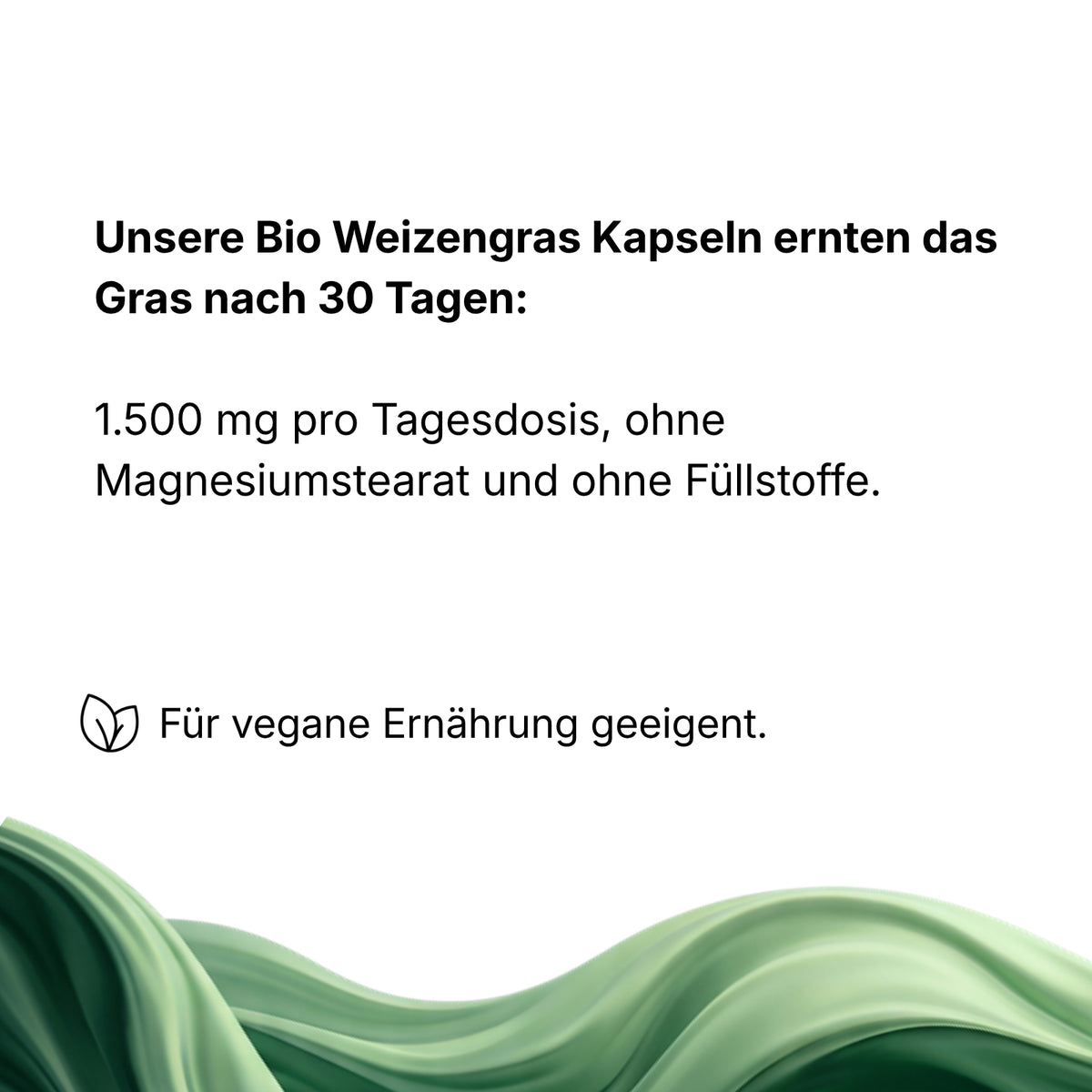Bio Weizengras Kapseln