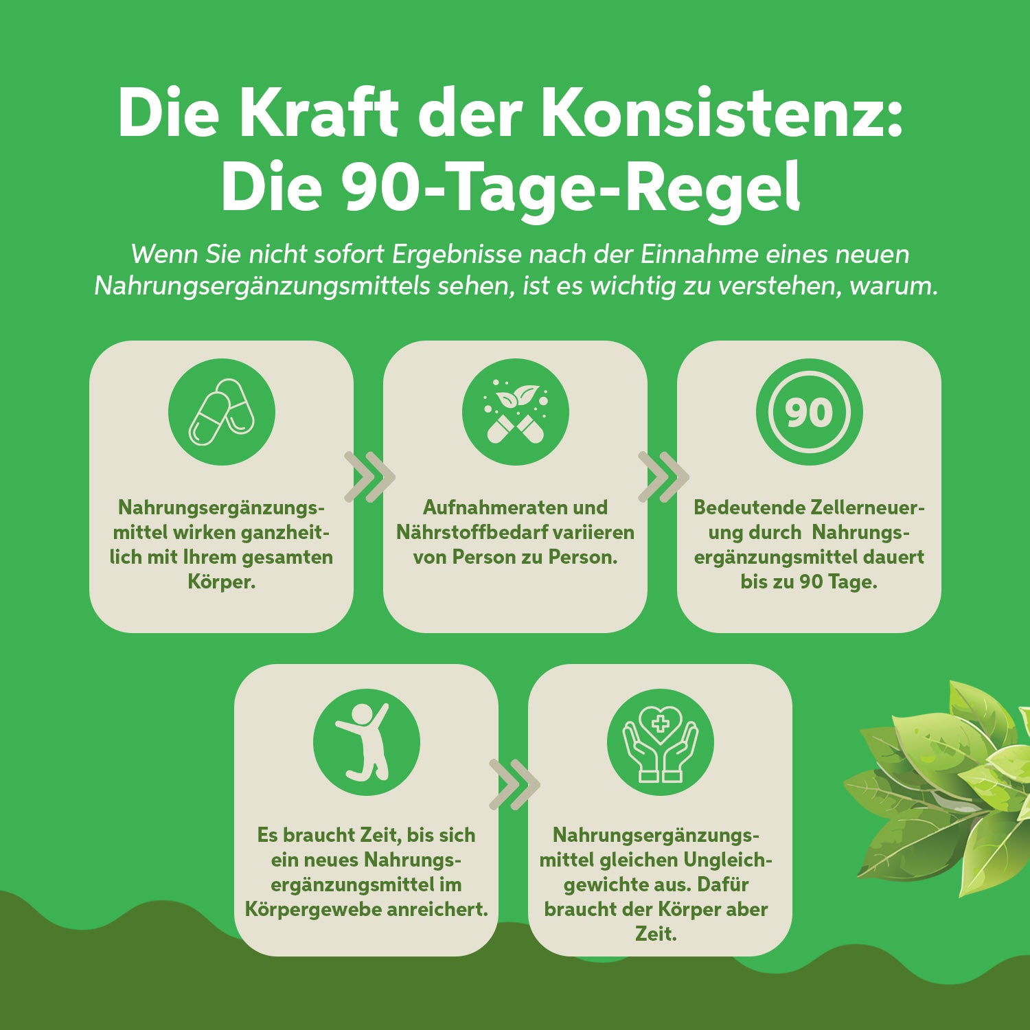 Bio Moringa Oleifera Kapseln 180