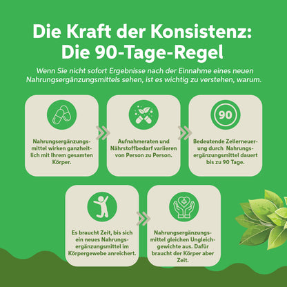 Bio Moringa Oleifera Kapseln 180