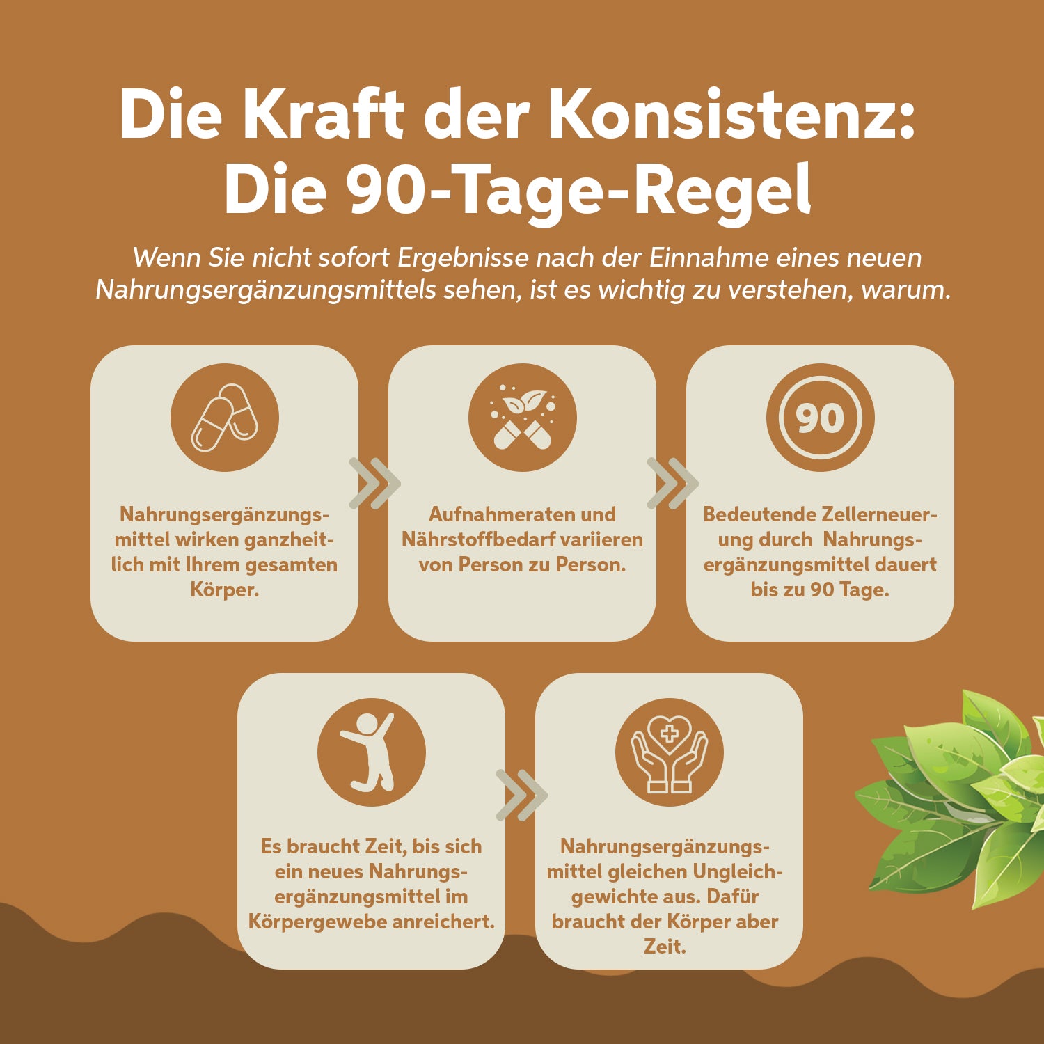 Bio Ashwagandha Kapseln 180