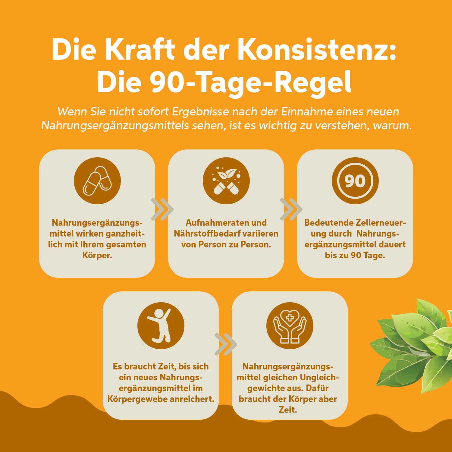 Vitamin D3 + K2 + Omega 3 Kapseln