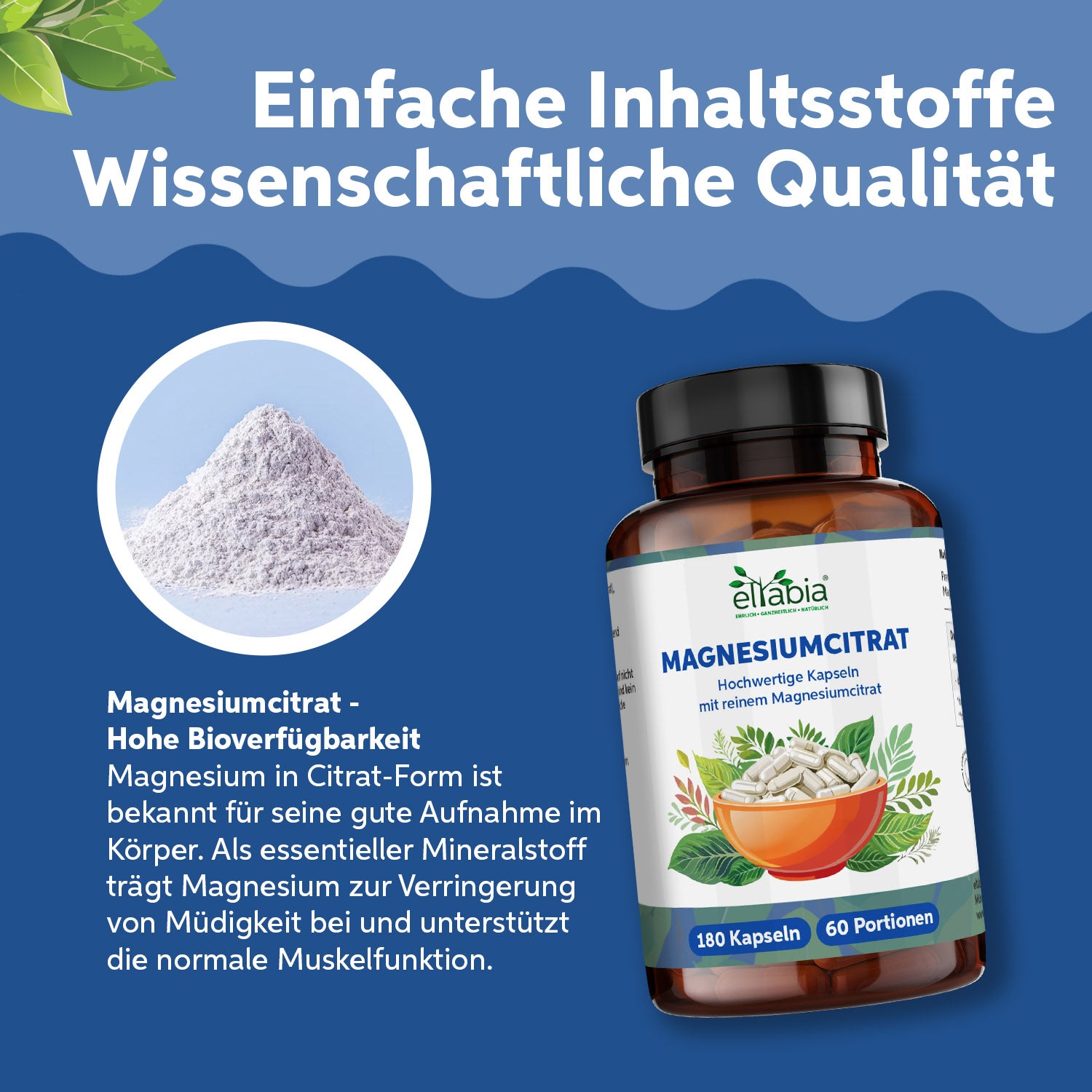 Magnesiumcitrat Kapseln 180