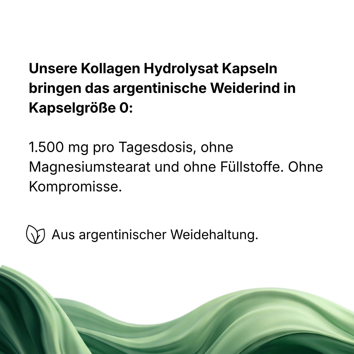 Kollagen Hydrolysat Kapseln