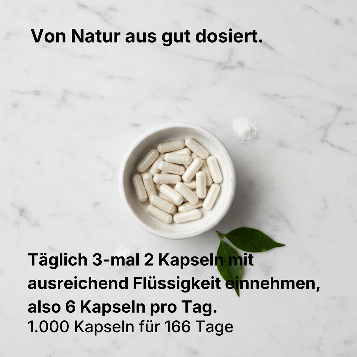 L-Arginin Base Kapseln