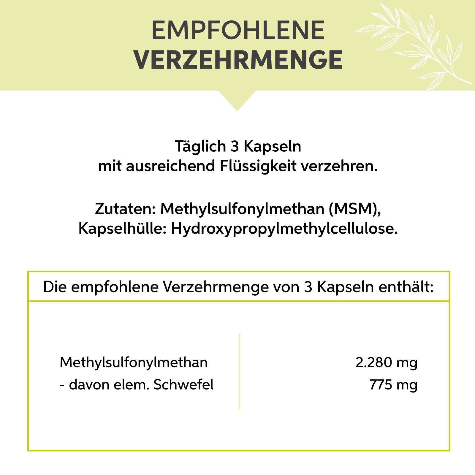 MSM-Kapseln