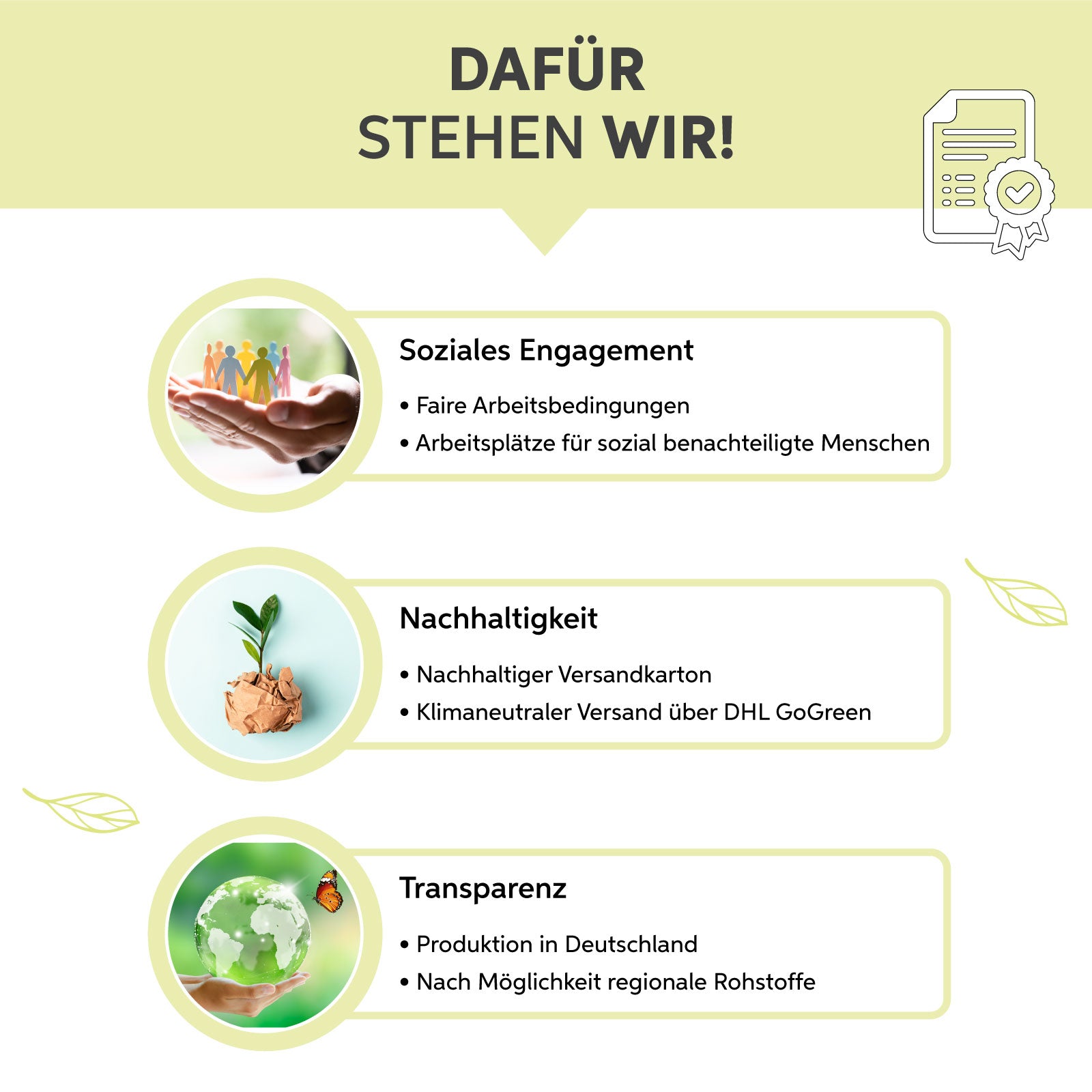 MSM-Kapseln