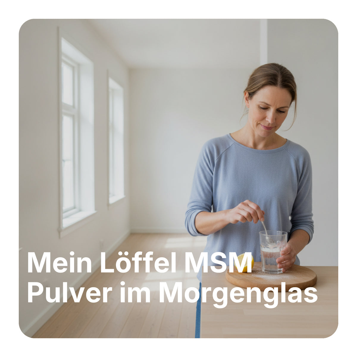 MSM Pulver