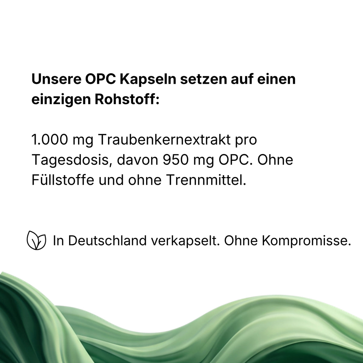 Traubenkernextrakt 95% OPC Kapseln