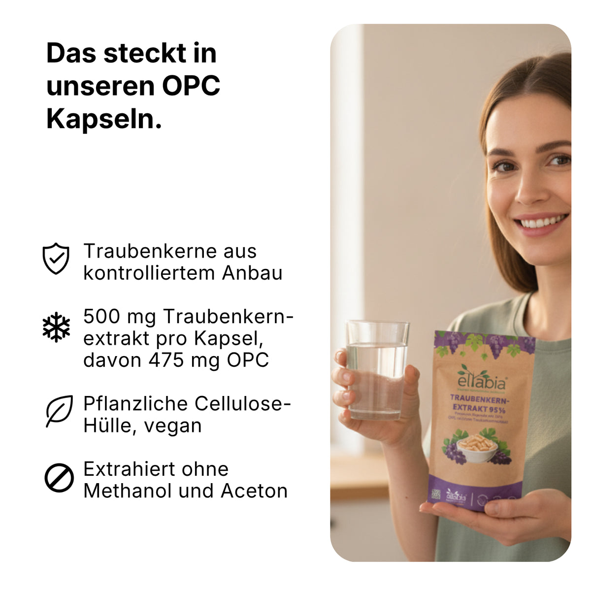 Traubenkernextrakt 95% OPC Kapseln