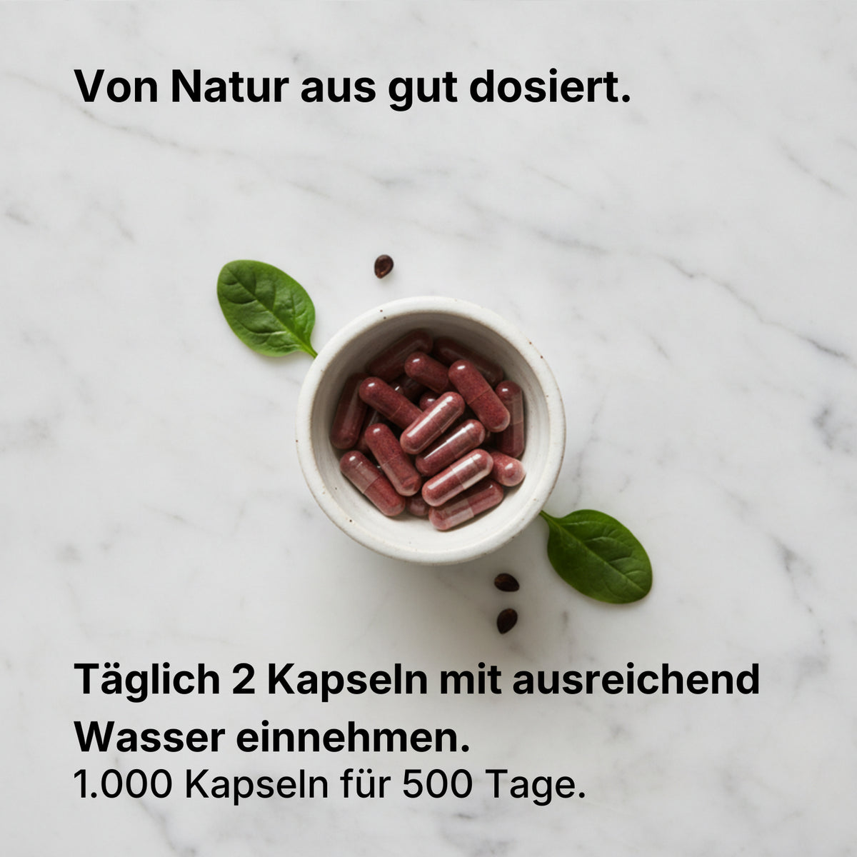 Traubenkernextrakt 95% OPC Kapseln