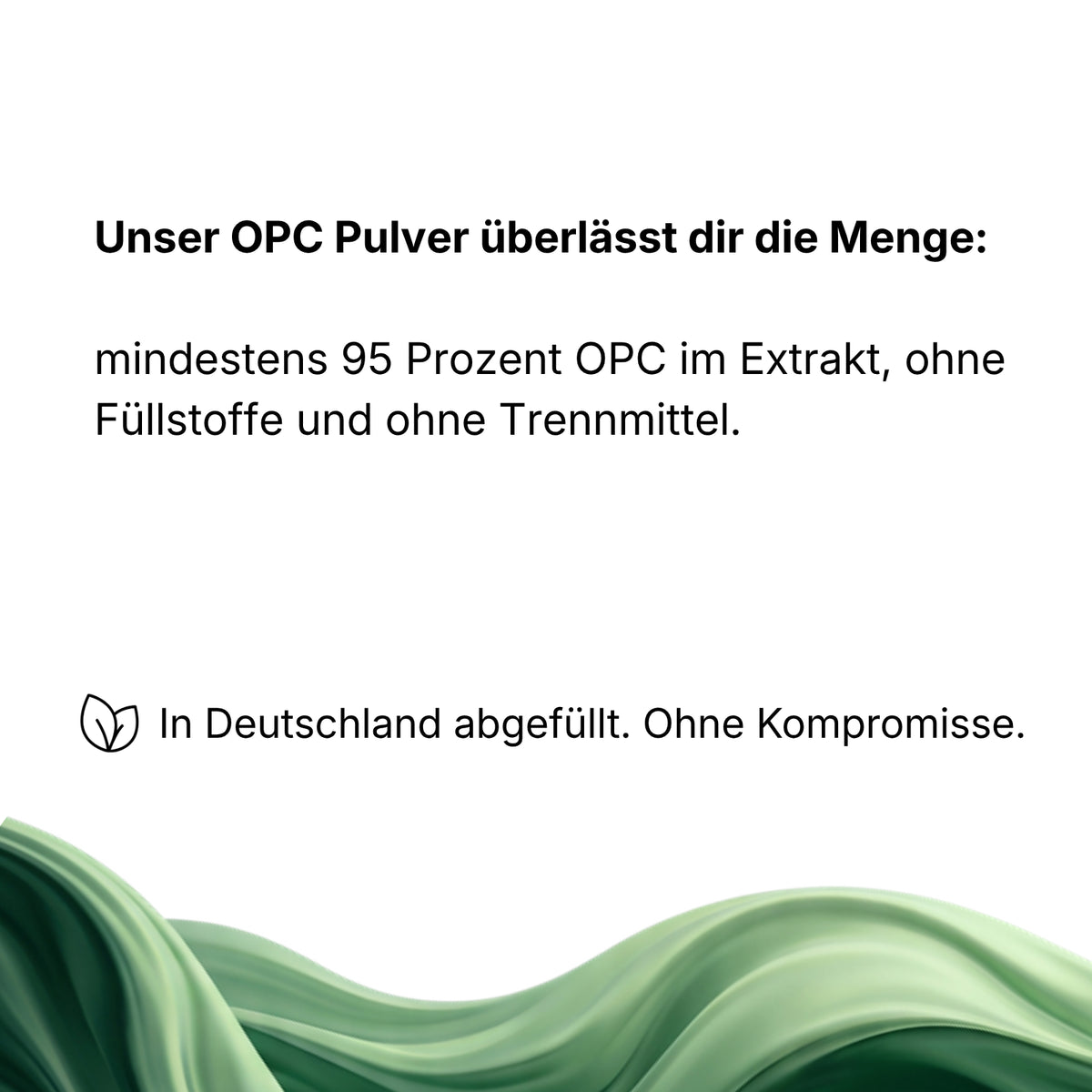 Traubenkernextrakt 95% OPC Pulver