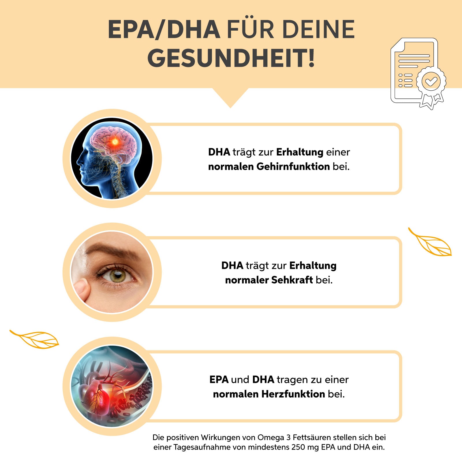 Omega 3 Fischöl Kapseln 1000mg