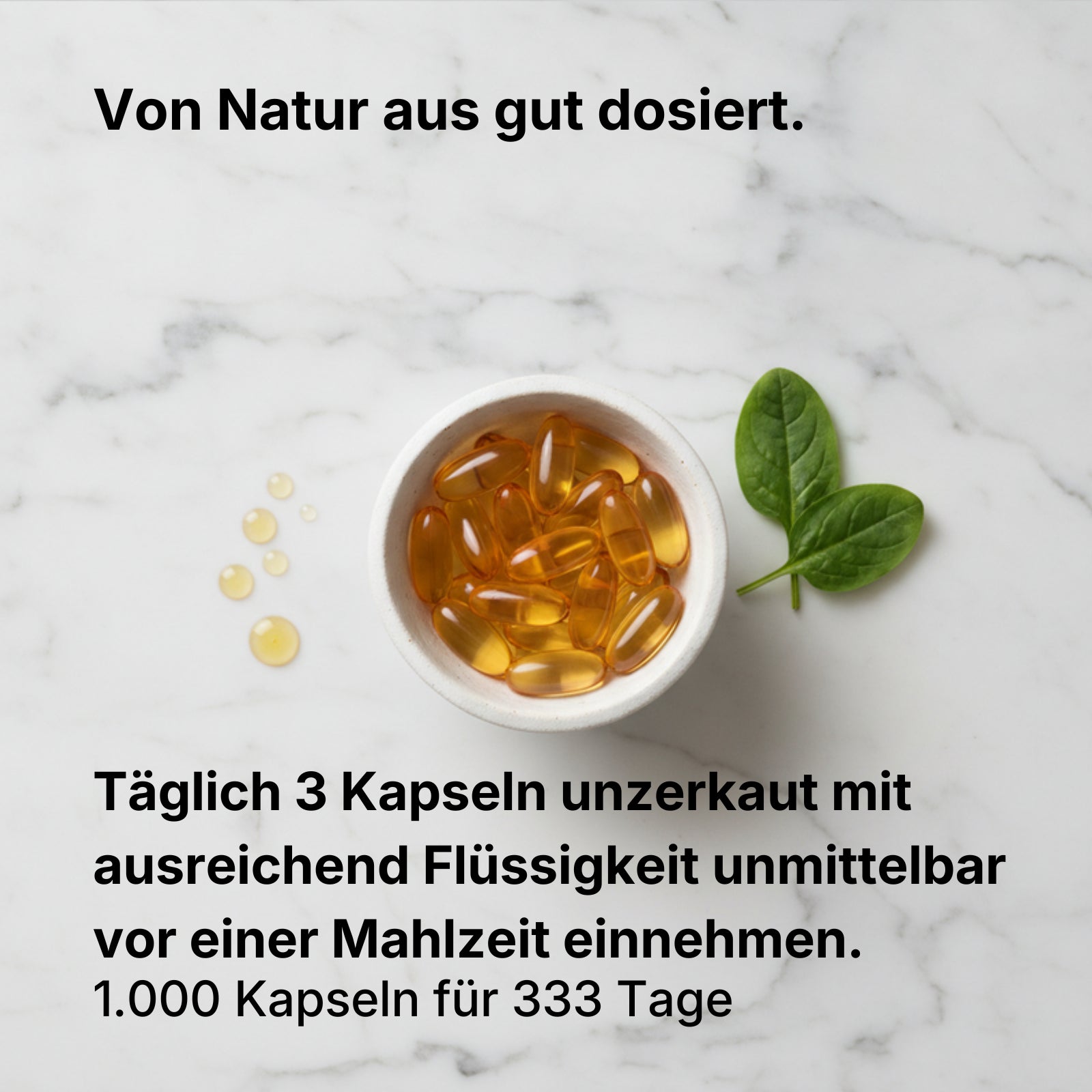 Omega 3 Fischöl Kapseln 1000mg