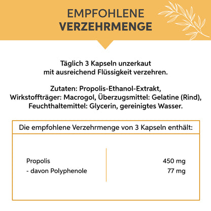 Propolis Kapseln