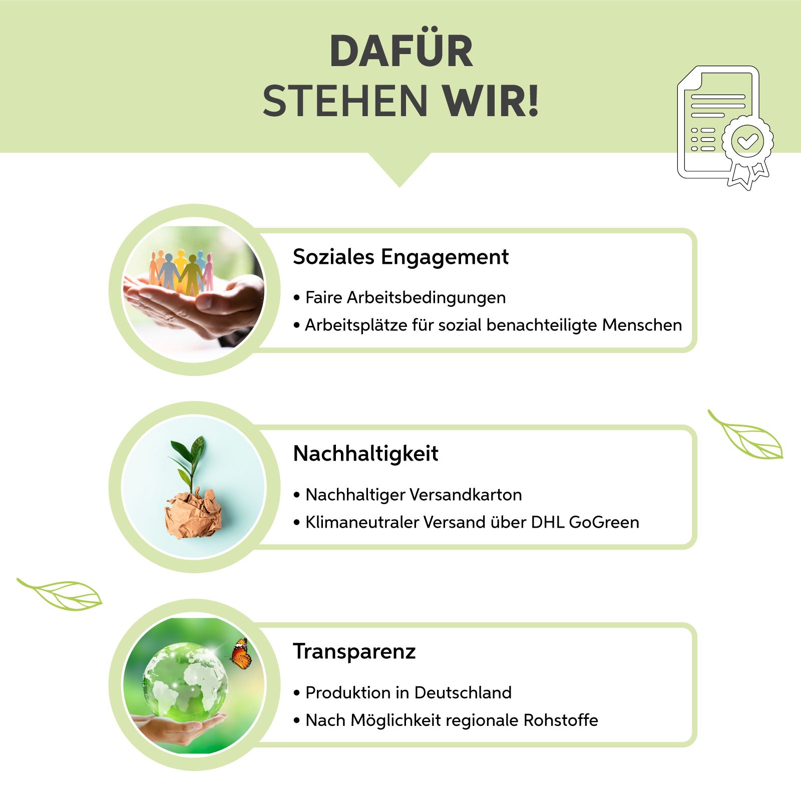 Weizengras Pulver