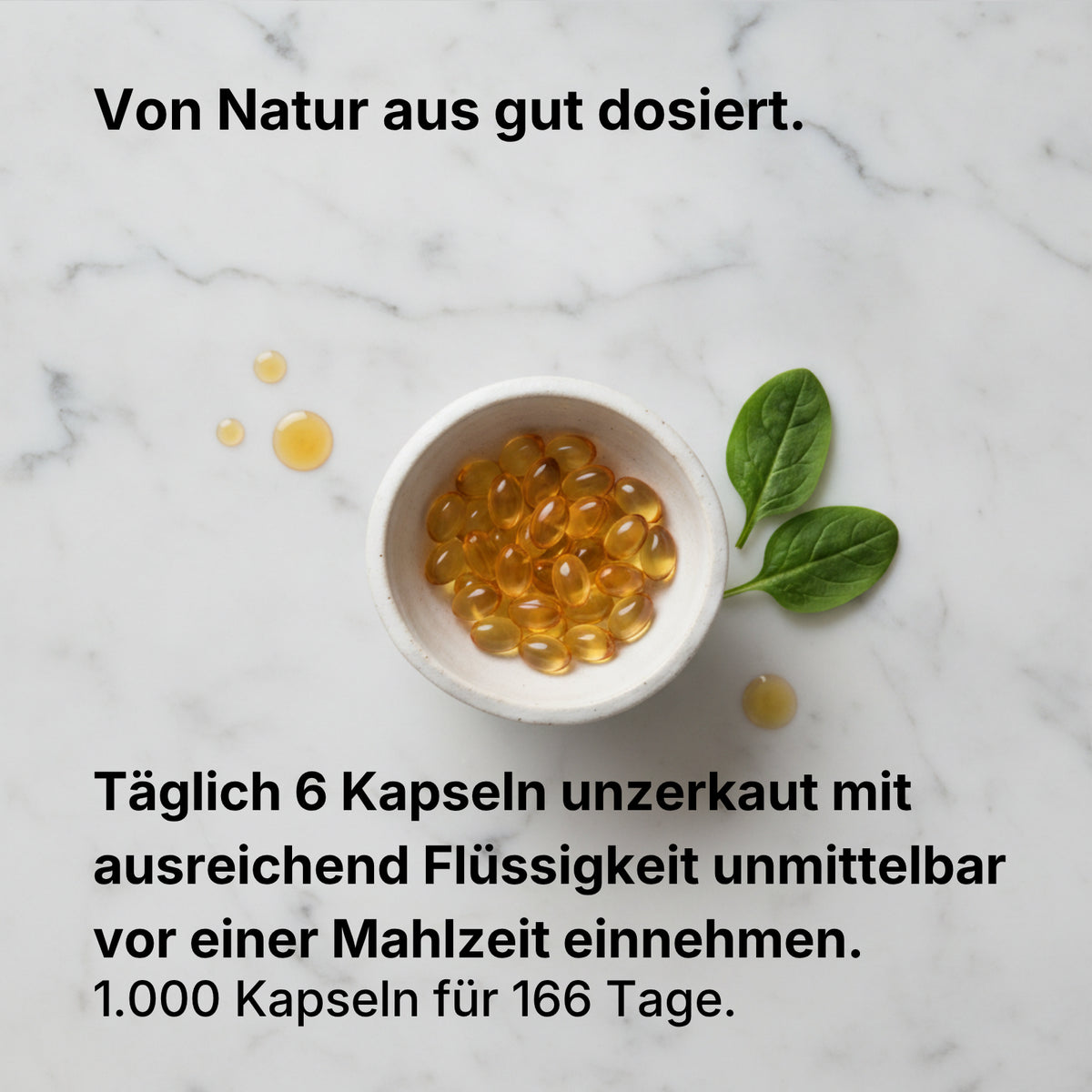 Omega 3 Fischöl Kapseln 500mg